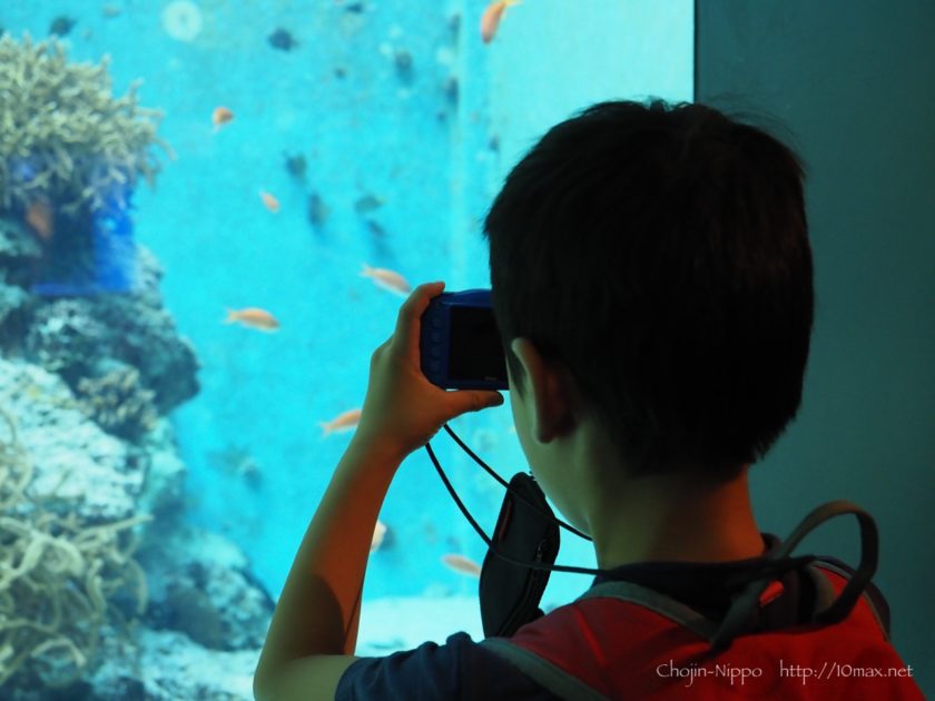 美ら海水族館