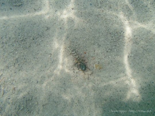 石垣島　底地ビーチ