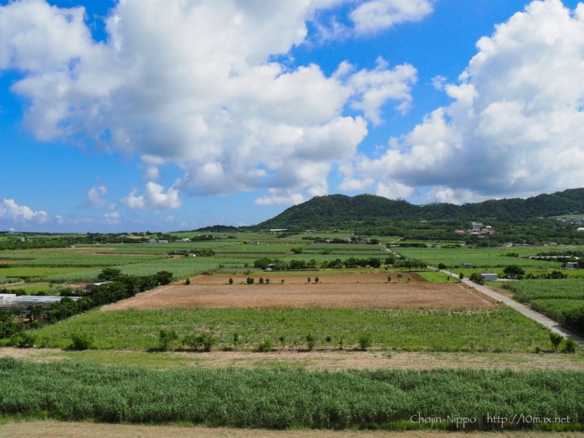 サトウキビ畑　石垣島