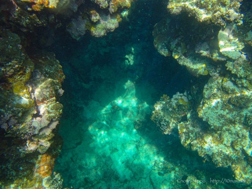 沖縄　石垣島　米原ビーチ　シュノーケリング　熱帯魚　珊瑚