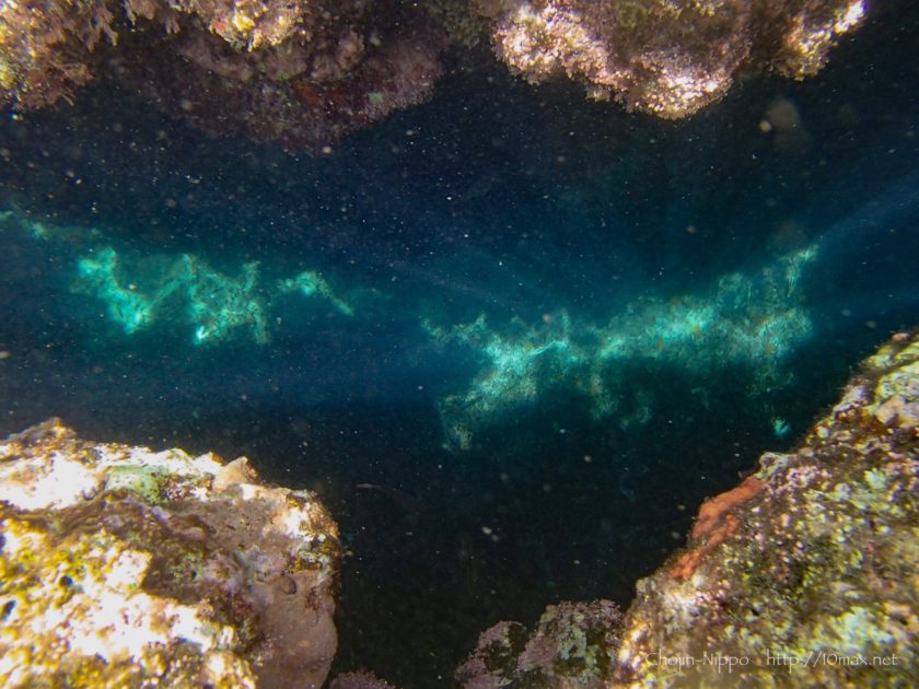 沖縄　石垣島　米原ビーチ　シュノーケリング　熱帯魚　珊瑚