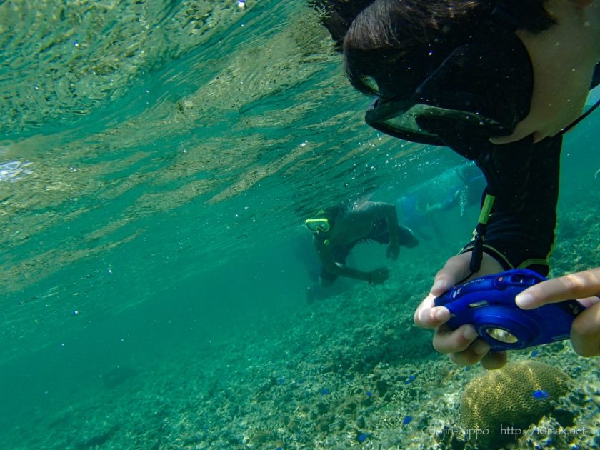 沖縄　石垣島　米原ビーチ　シュノーケリング　熱帯魚　珊瑚