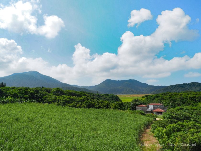 石垣島　於茂登岳