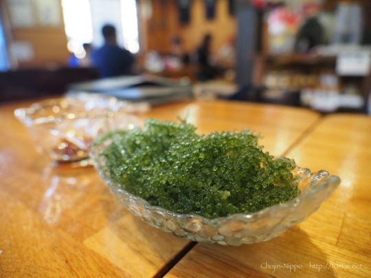 石垣島　南の島　沖縄料理　海ぶどう