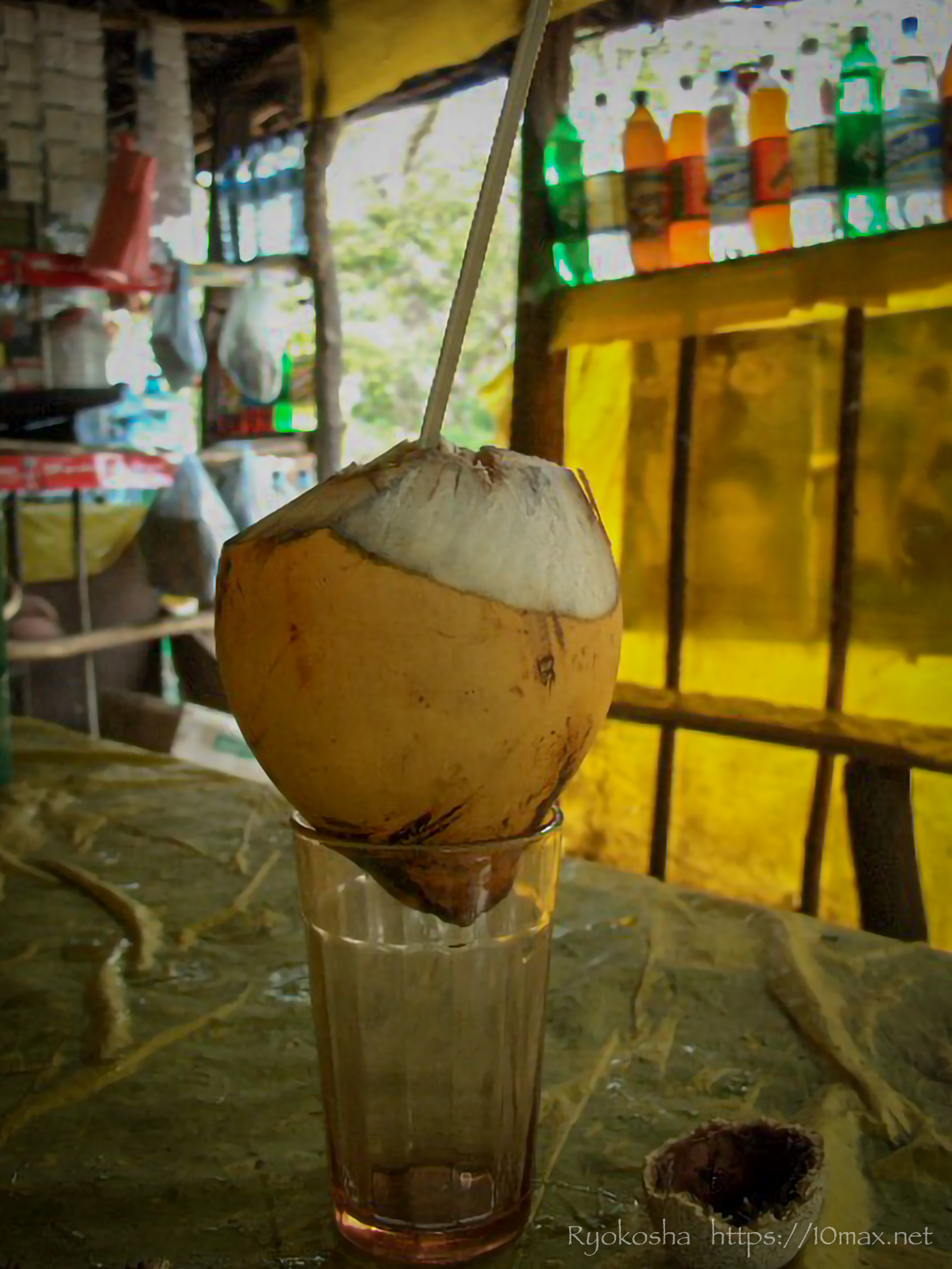 スリランカ　アヌラーダプラ　世界遺産 ココナッツジュース