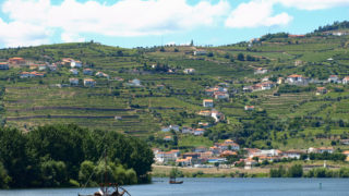 アルト・ドウロ – ポートワイン産地の世界遺産を巡る | ポルトガル旅行記【陽の当たる坂道に憧れて】
