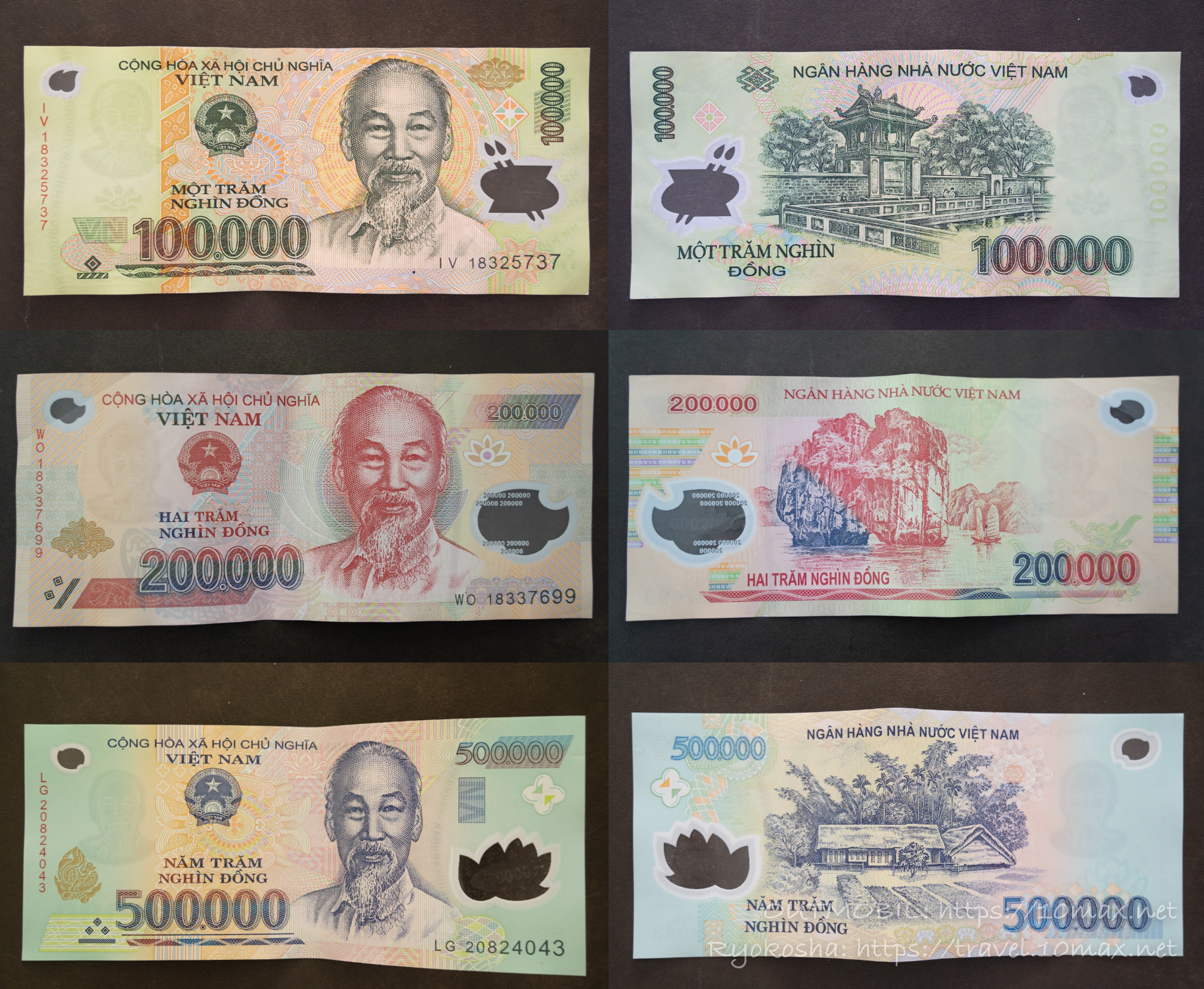 ベトナム紙幣　50万ドン5枚　ポリマー紙幣 紙幣 世界の紙幣