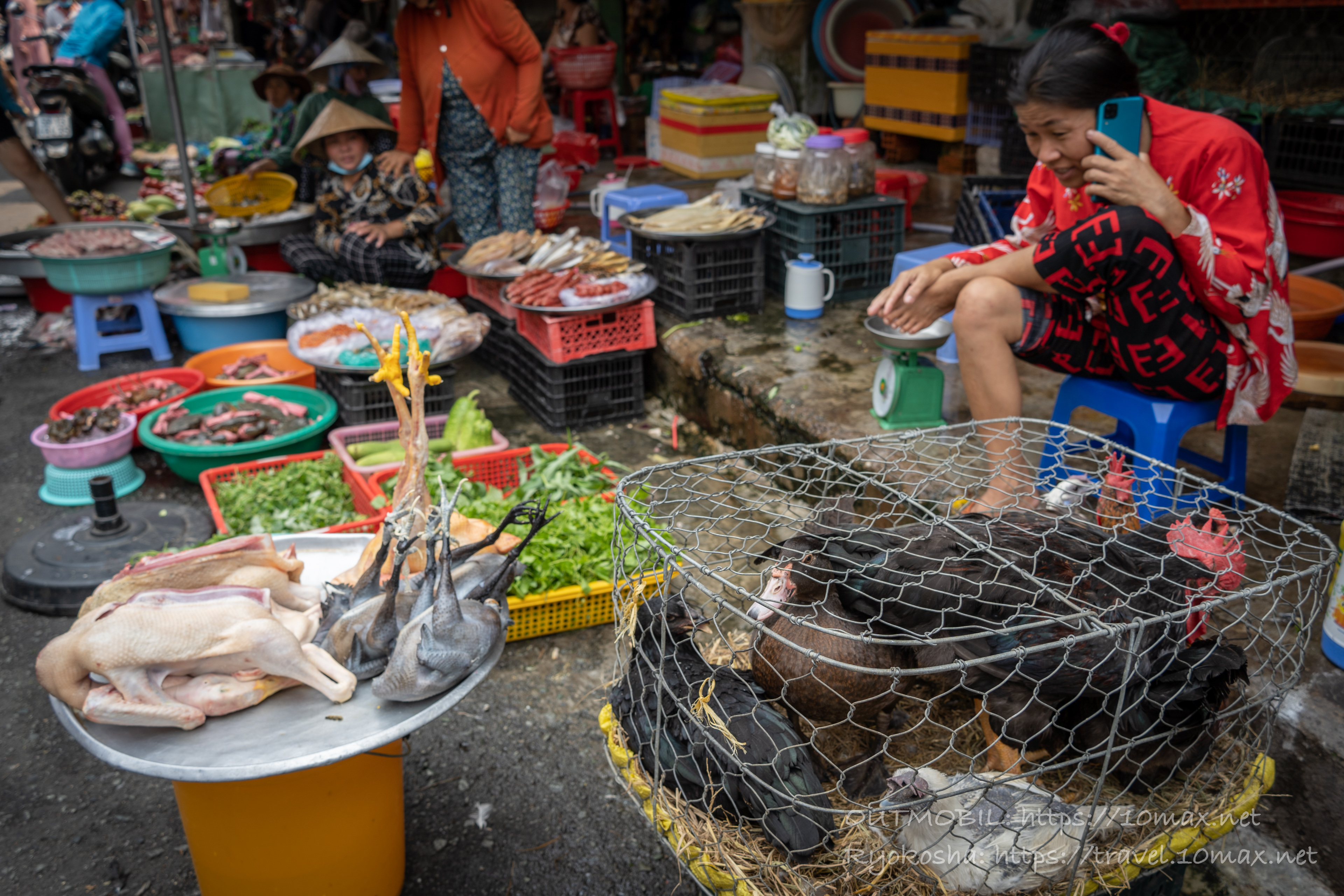 鶏, Chợ Tân Mỹ（タンミー市場）外の食材売り場, ホーチミン