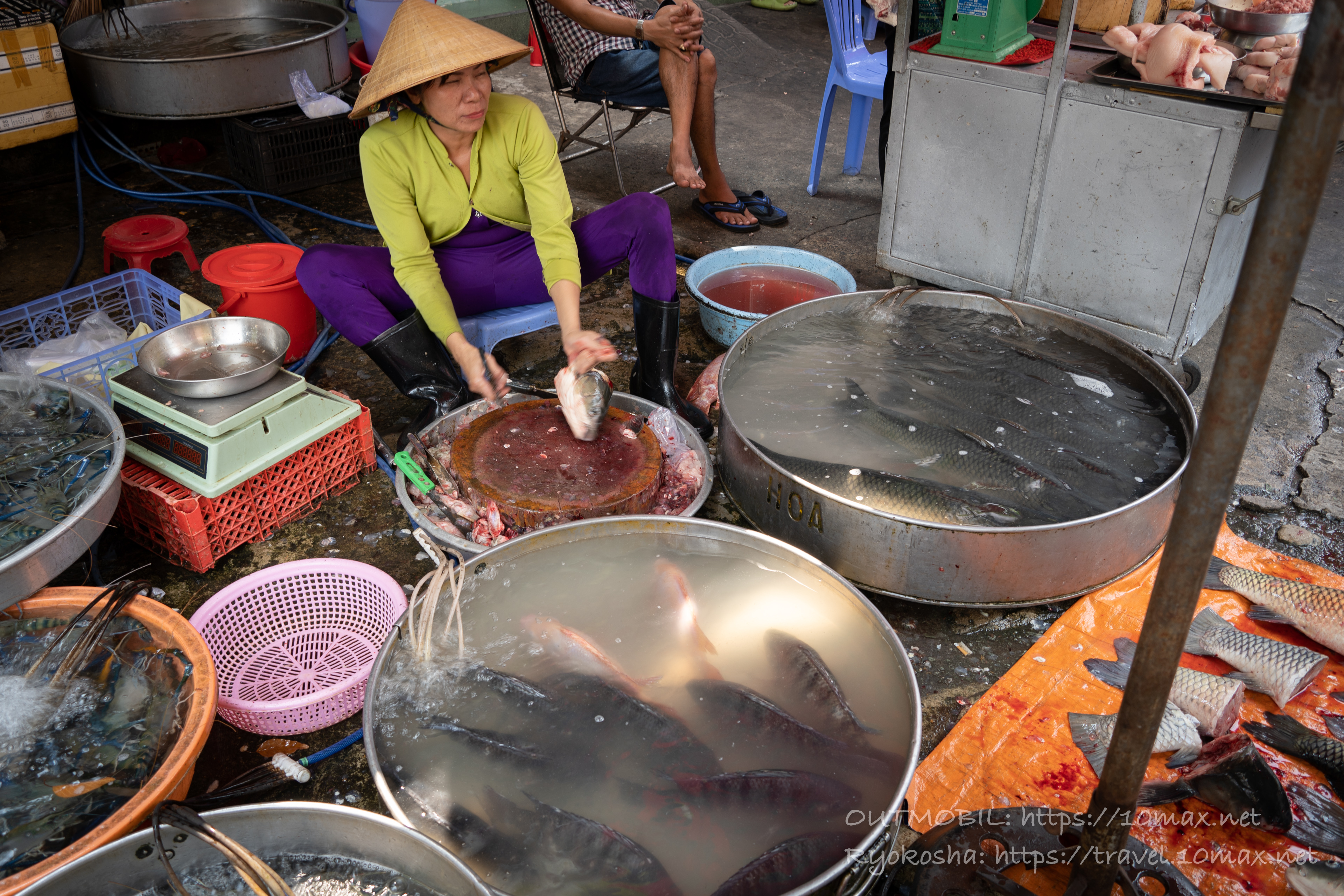 魚, Chợ Tân Mỹ（タンミー市場）外の食材売り場, ホーチミン