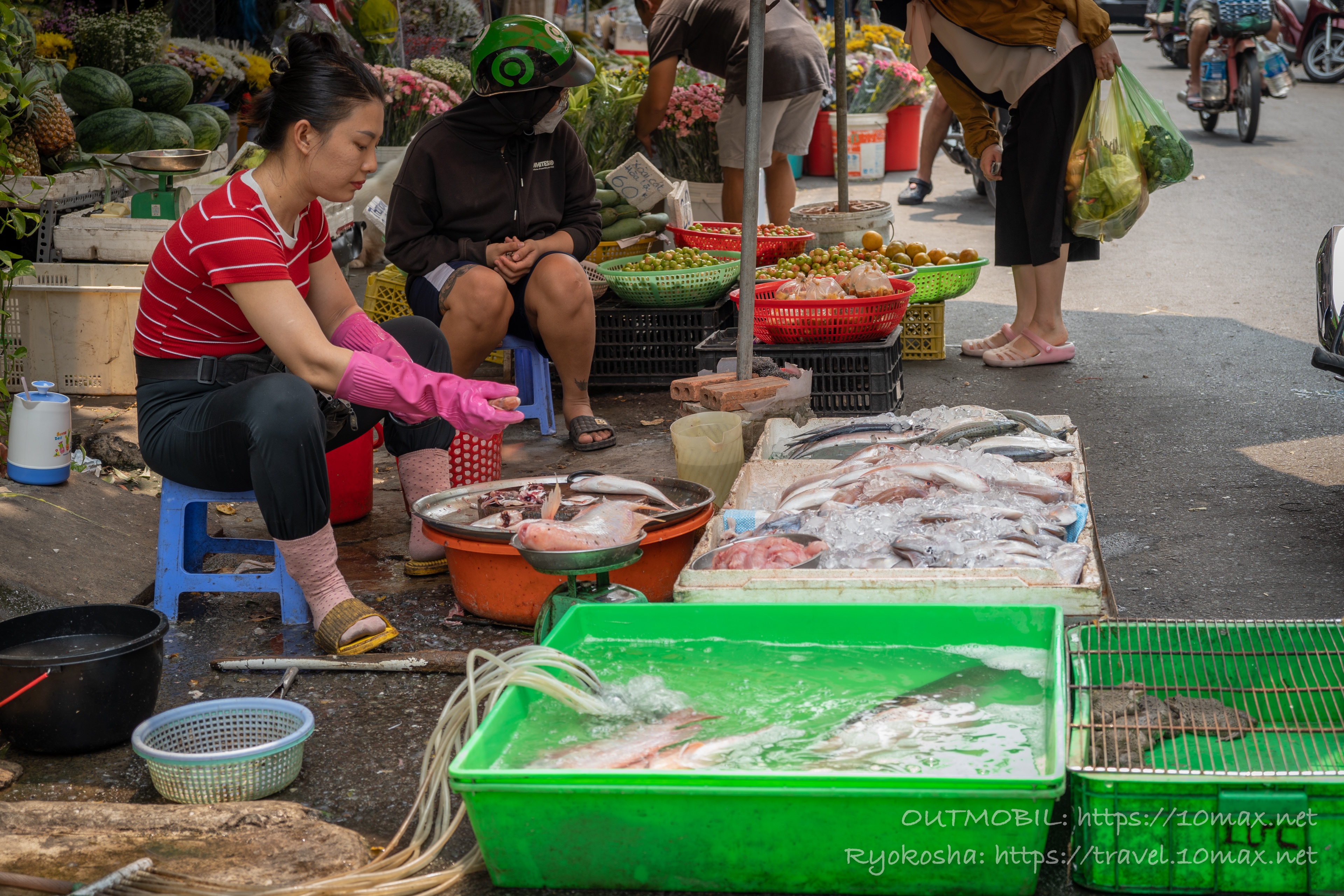 魚, Chợ Tân Mỹ（タンミー市場）外の食材売り場, ホーチミン