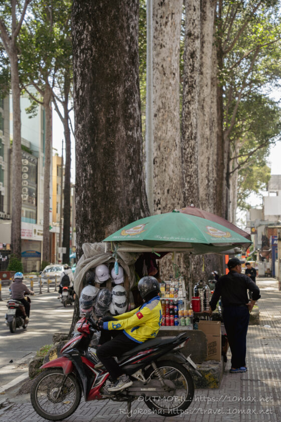 ホーチミンの街路樹, 背の高い, Cây dầu, フタバガキ