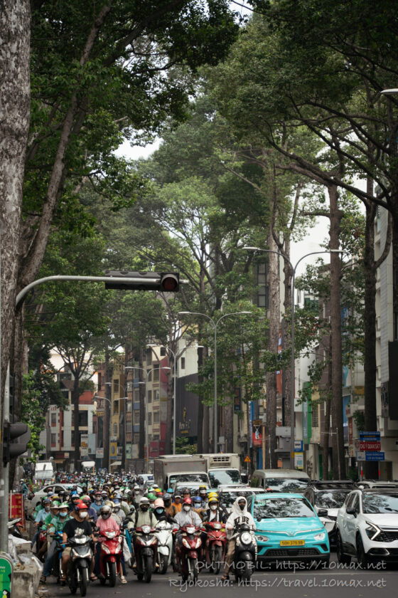 フタバガキ, ホーチミンの街路樹, 背の高い