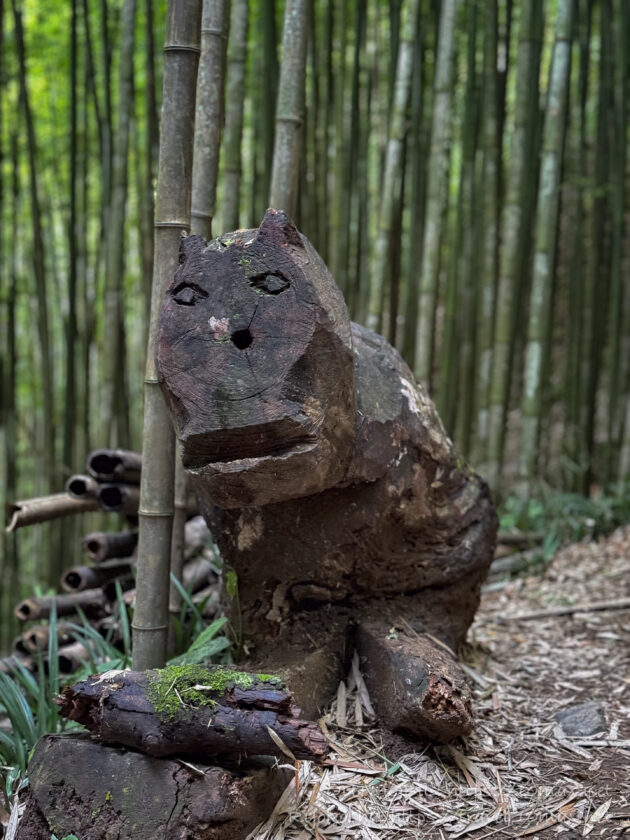 Púng Luông Bamboo Forest（プンルオン竹林）, ムーカンチャイ, ベトナム