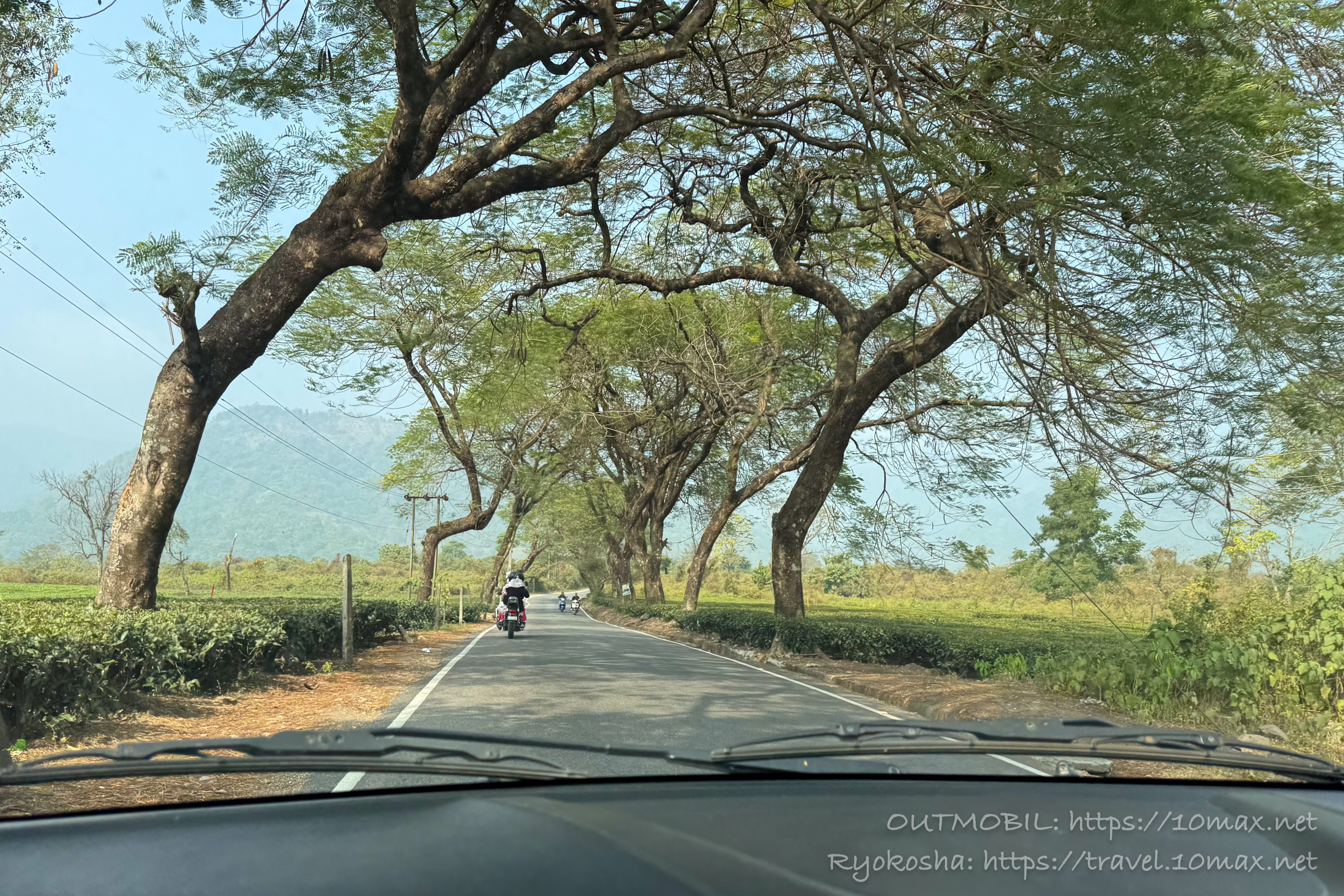 シリグリからダージリンへの道, インド
